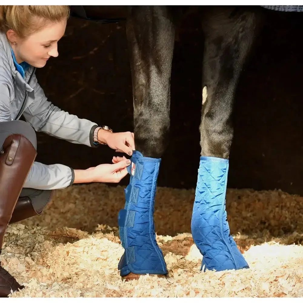 Equilibrium Equi-Chaps Stable Chaps