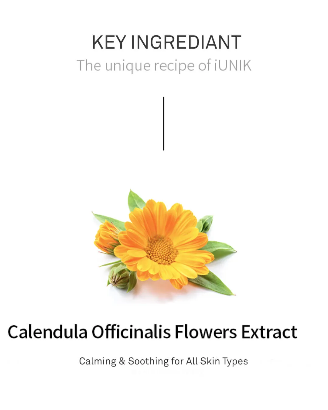 iUnik Calendula Complete Cleansing Oil